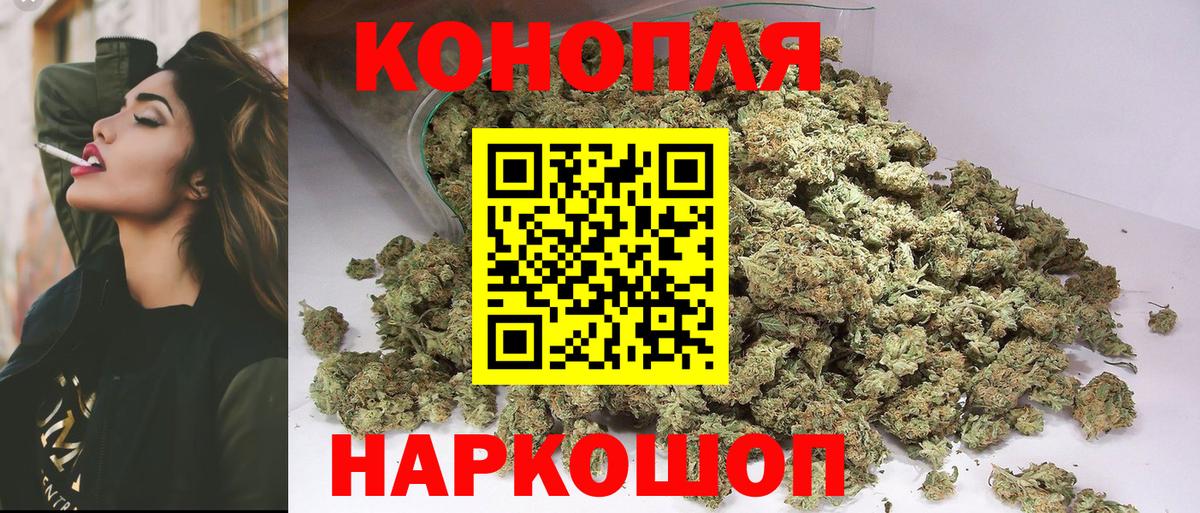 Долгопрудный  Бошки Шишки White Widow  Бошки Шишки план  Вход с VPN 
